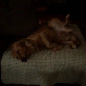 Meet your Posher, Denise